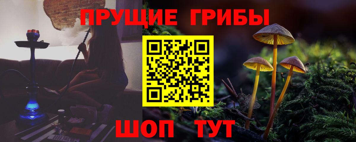 Псилоцибиновые грибы Psilocybe  Вход с VPN  Псилоцибиновые грибы Psilocybine cubensis  Киселёвск 