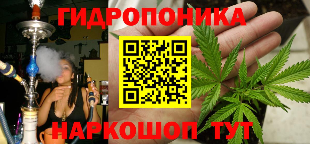 Канабис AK-47  Каннабис Bruce Banner  Марихуана планчик  Канабис AK-47  Киселёвск  Вход с VPN 